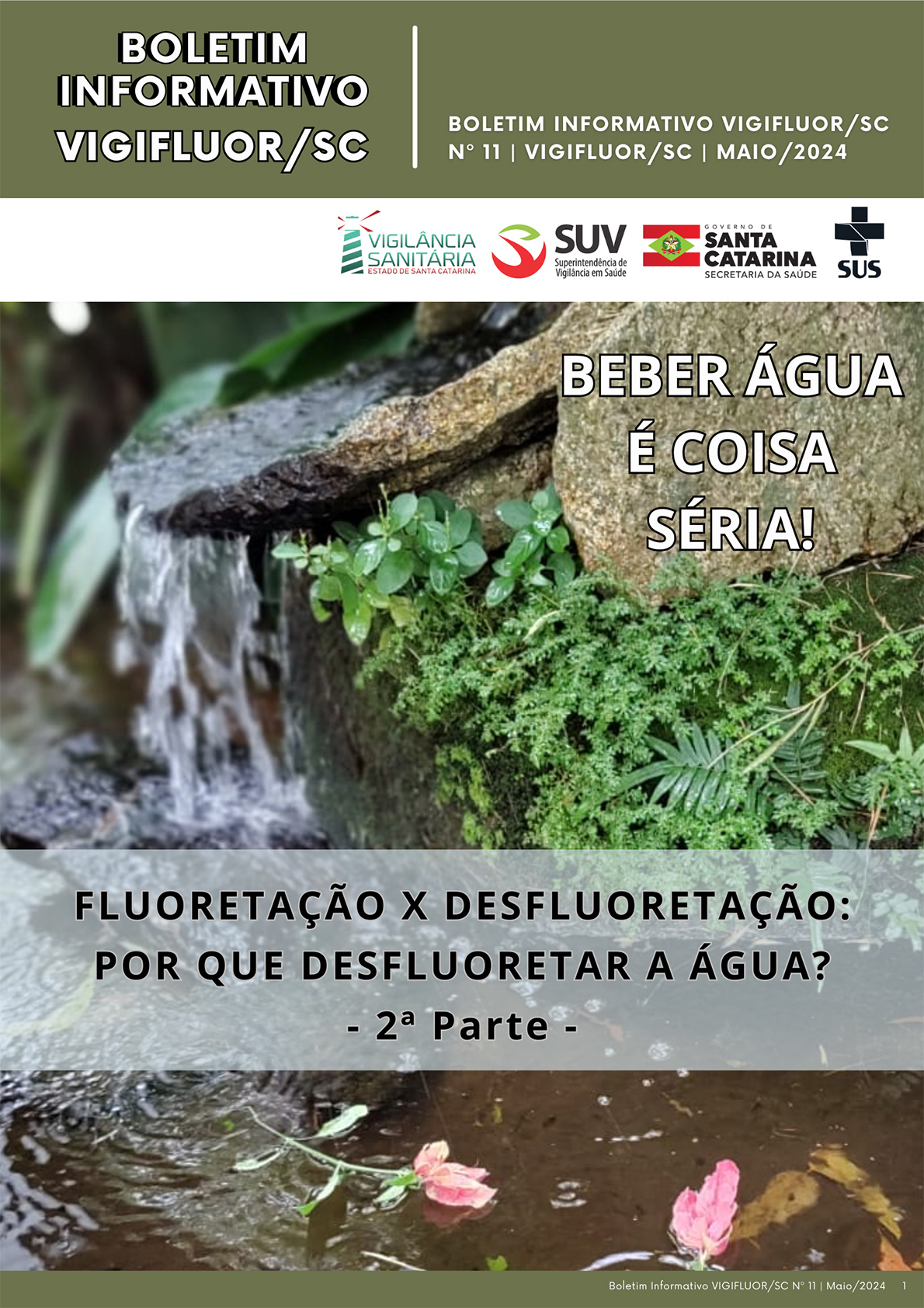 capa boletim vigifluor.sc n.11 copiar
