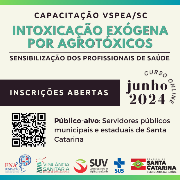 curso sinan 2024.1 grande