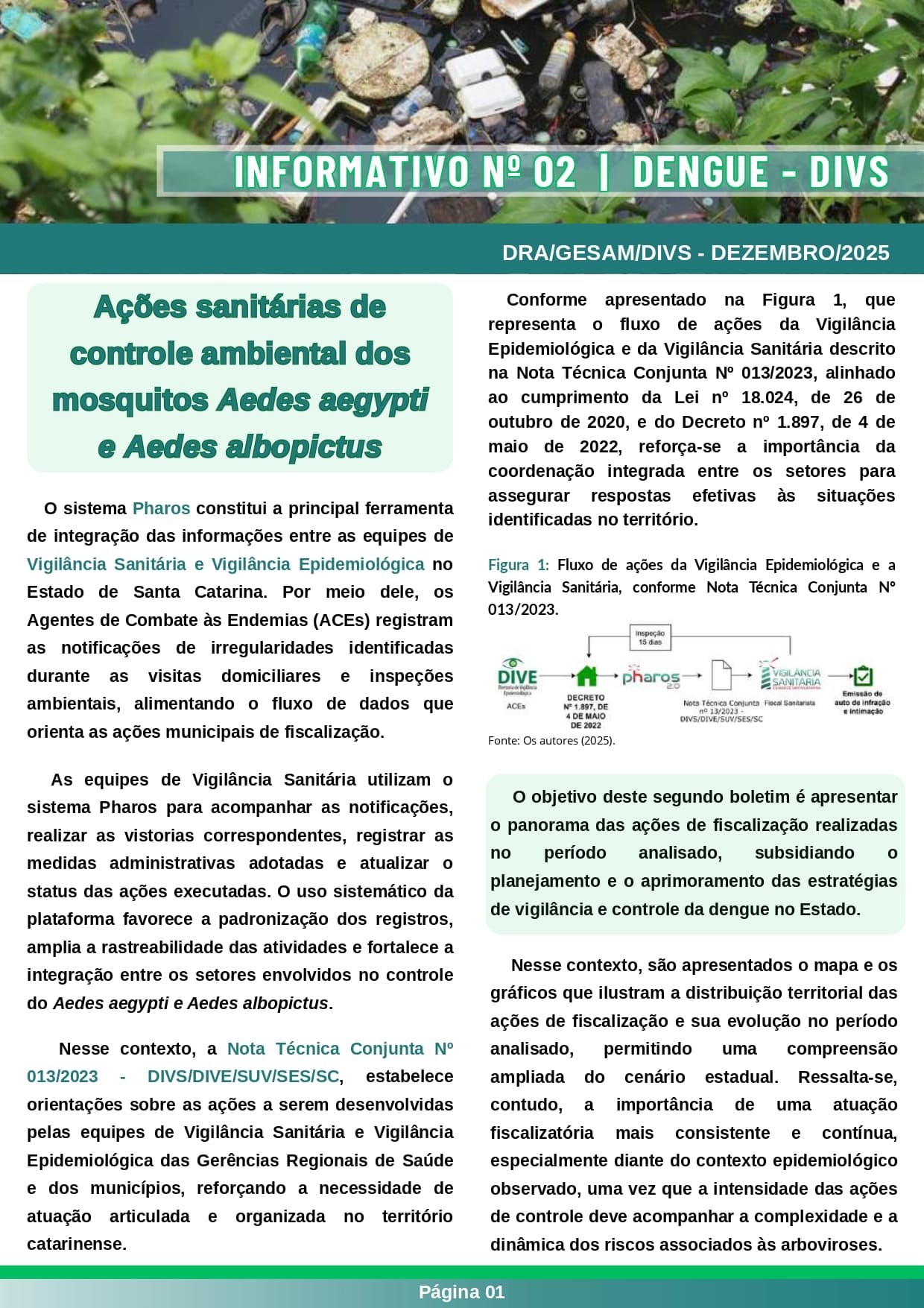 Página 1 do informativo