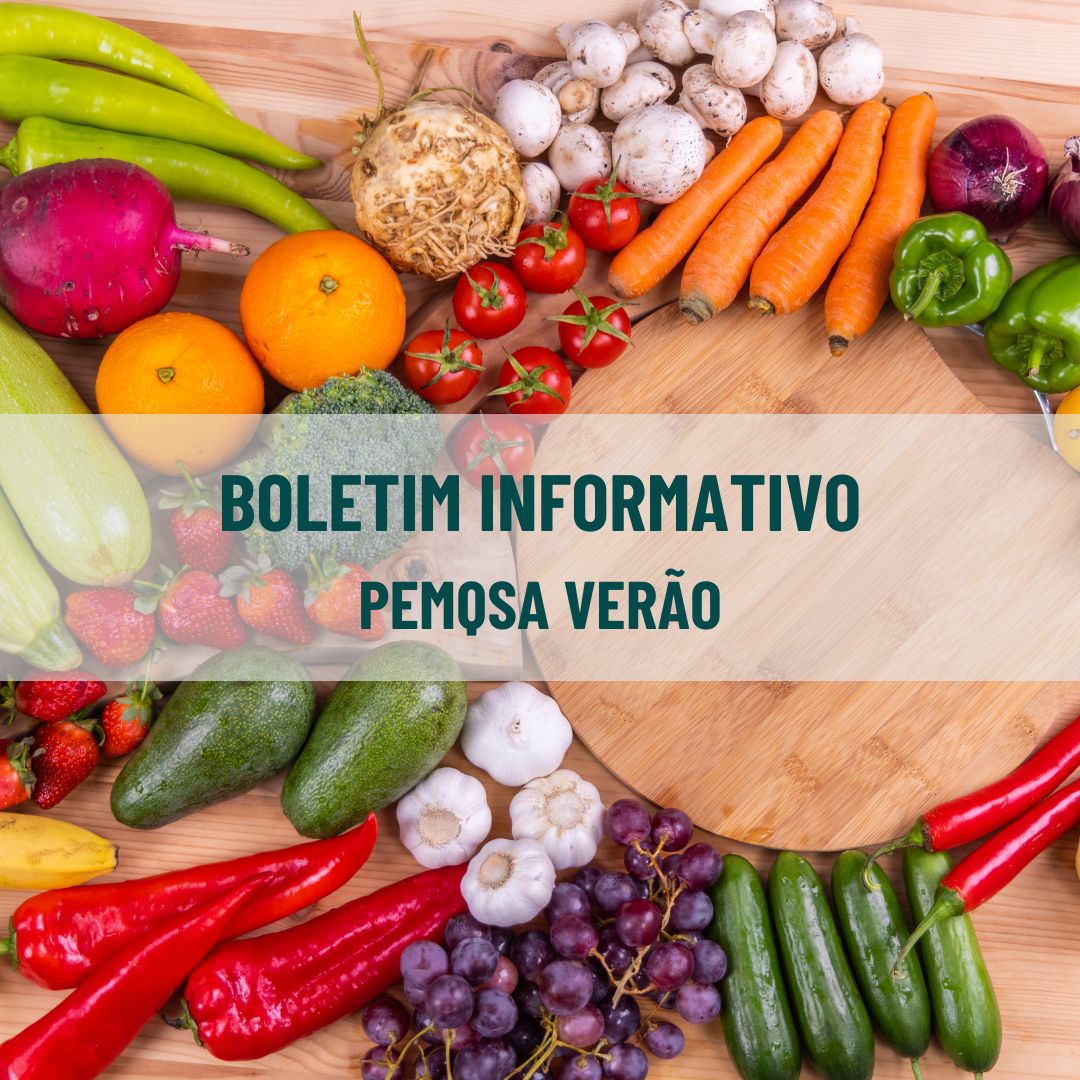 Arte com mesa de madeira vista de cima, cercada por frutas e verduras variadas, como cenouras, tomates, pimentões, uvas, morangos e abobrinhas. No centro, faixa translúcida em verde com o título Boletim Informativo Pemqsa Verão.