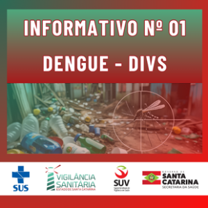Informativo 01 - DENGUE | DIVS